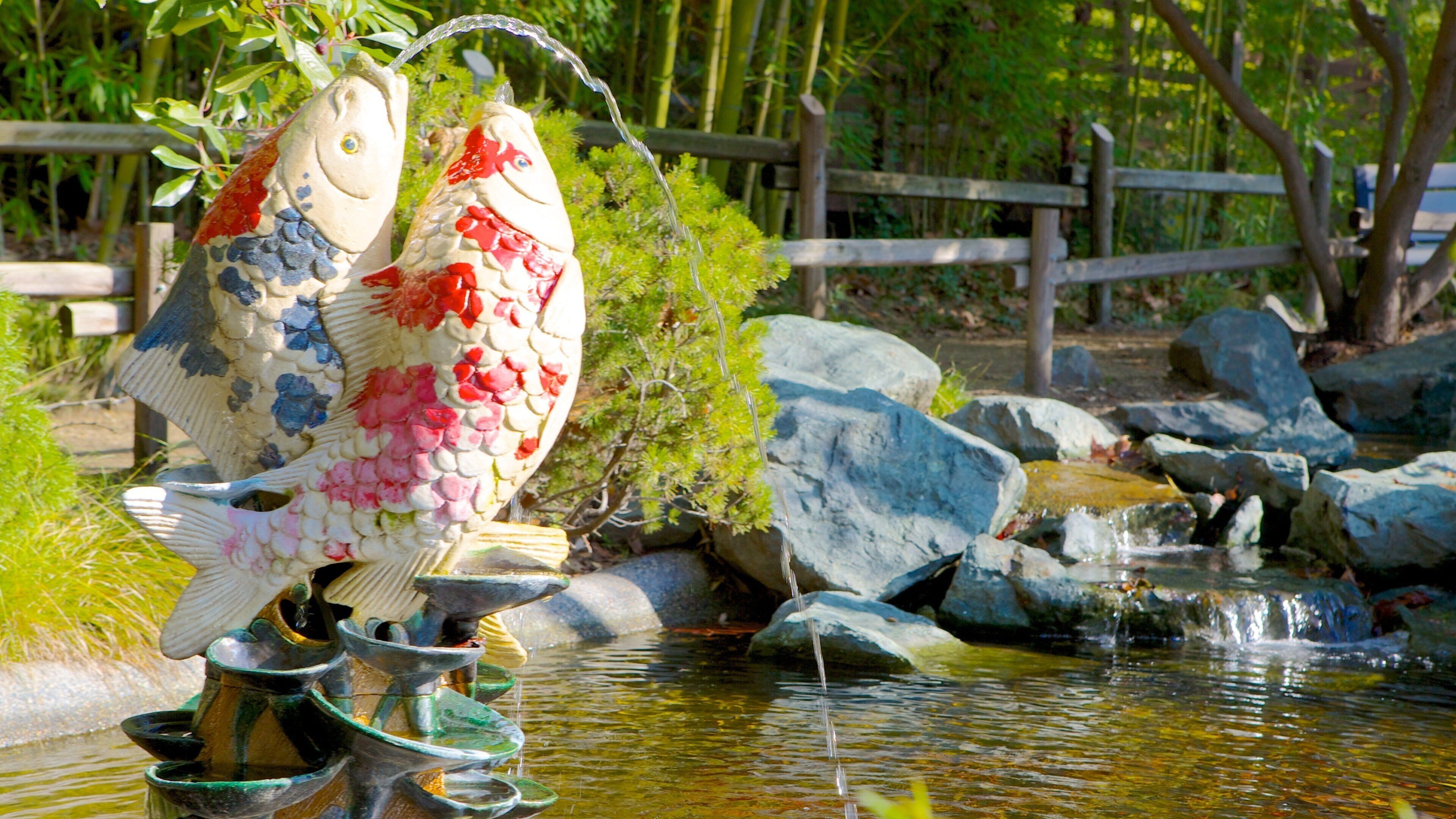 Sacramento Zoo featuring a fountain, a statue or sculpture and a park