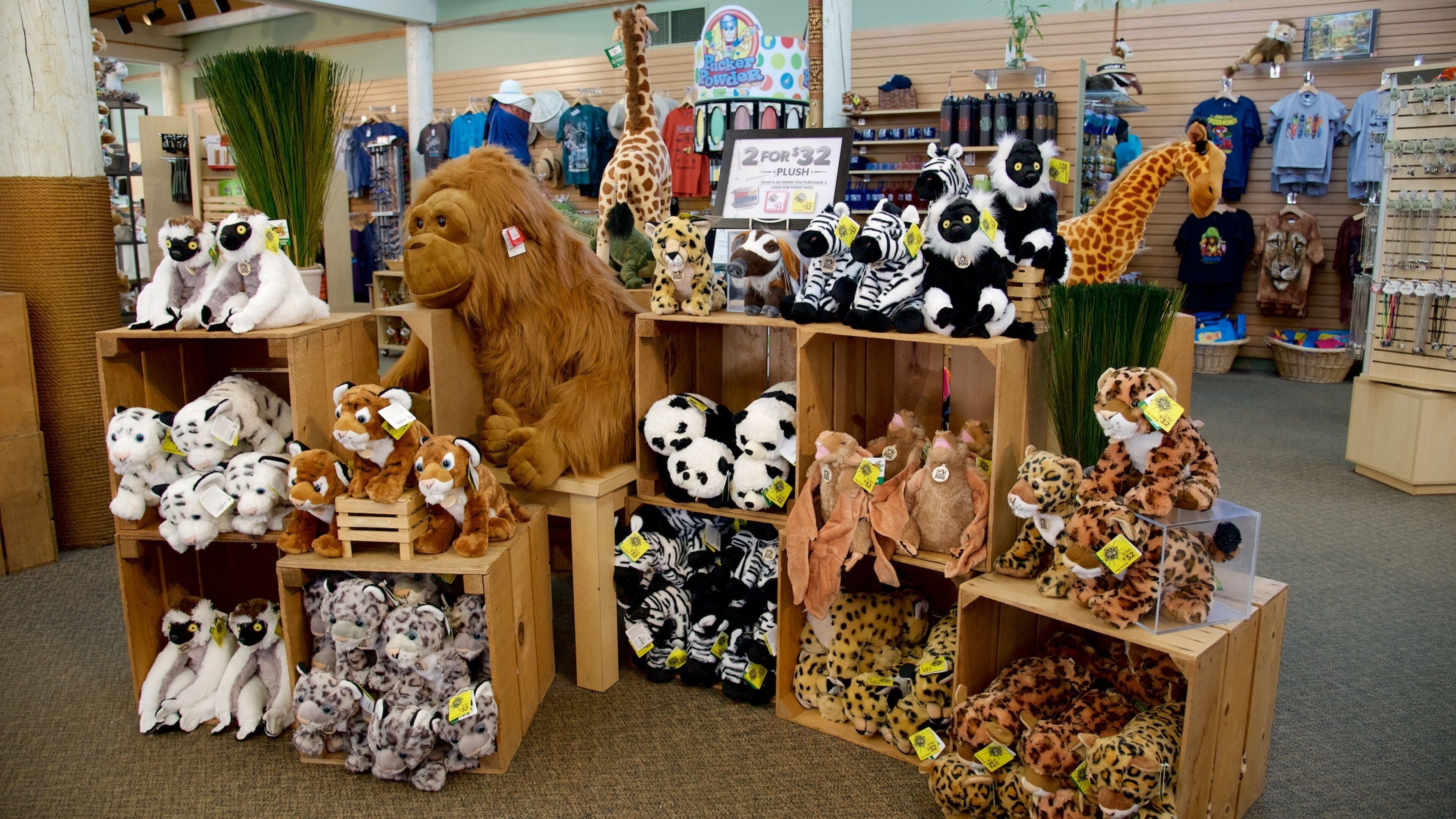 Sacramento Zoo which includes shopping