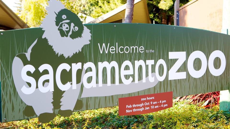 Sacramento Zoo featuring zoo animals and signage