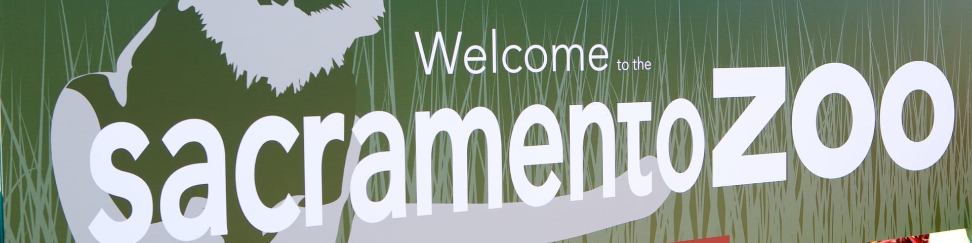 Sacramento Zoo which includes zoo animals and signage