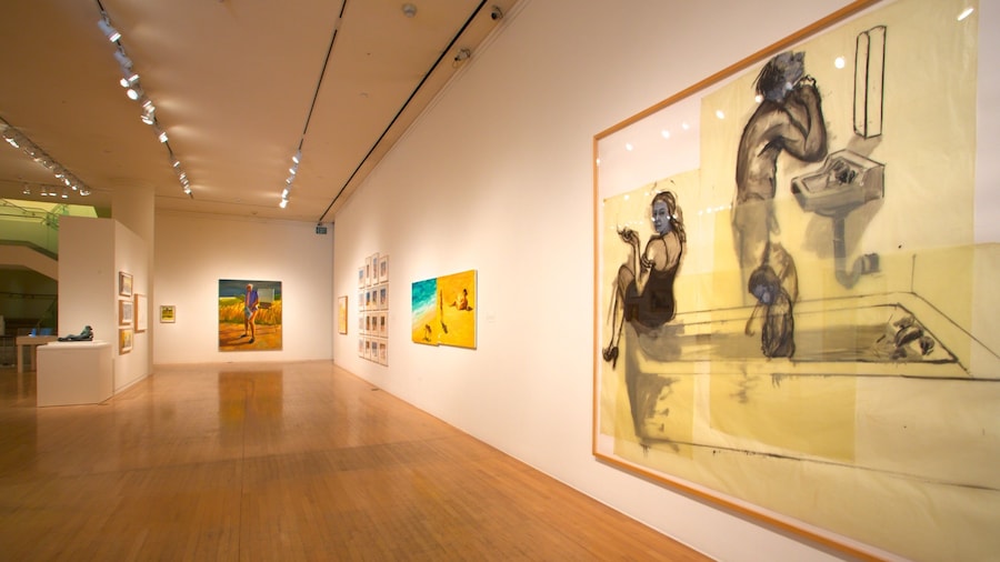 San Jose Museum of Art som viser interiør og kunst