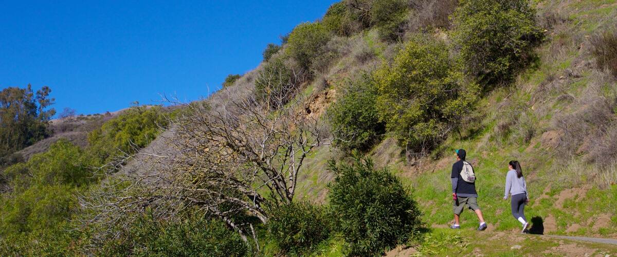 Alum Rock Park which includes hiking or walking and a garden