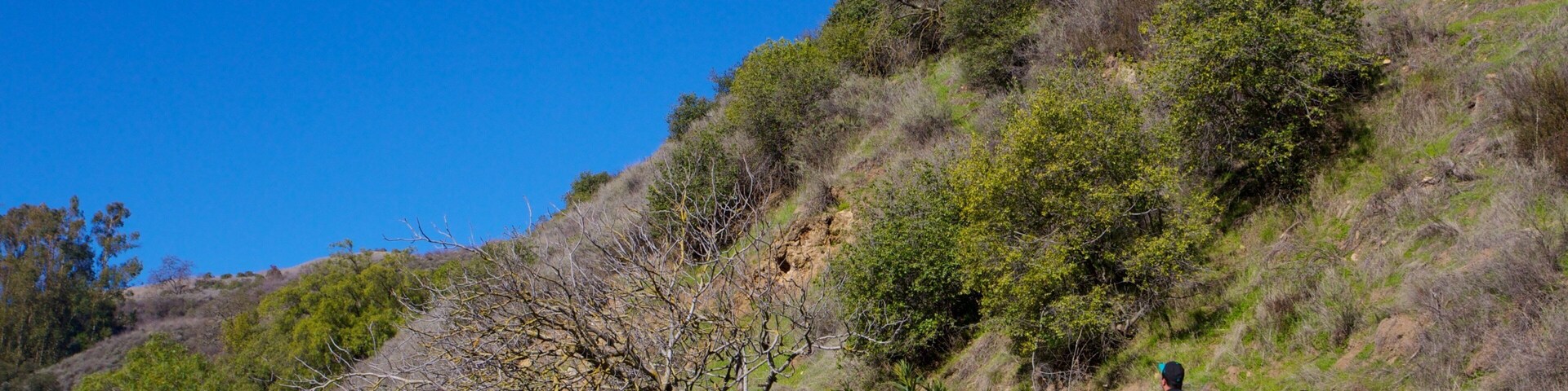 Alum Rock Park which includes hiking or walking and a garden