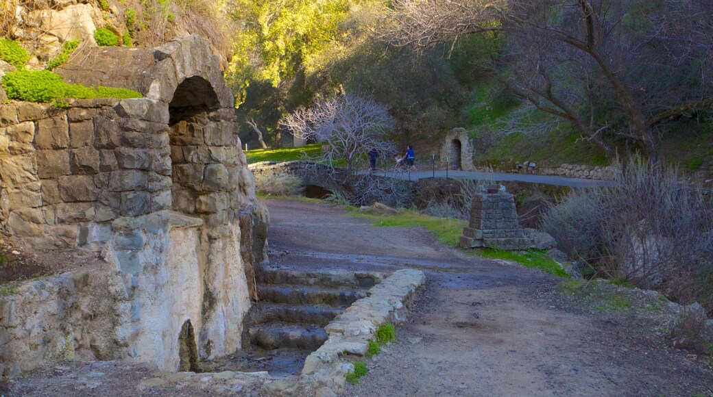Alum Rock Park showing a ruin, landscape views and a park