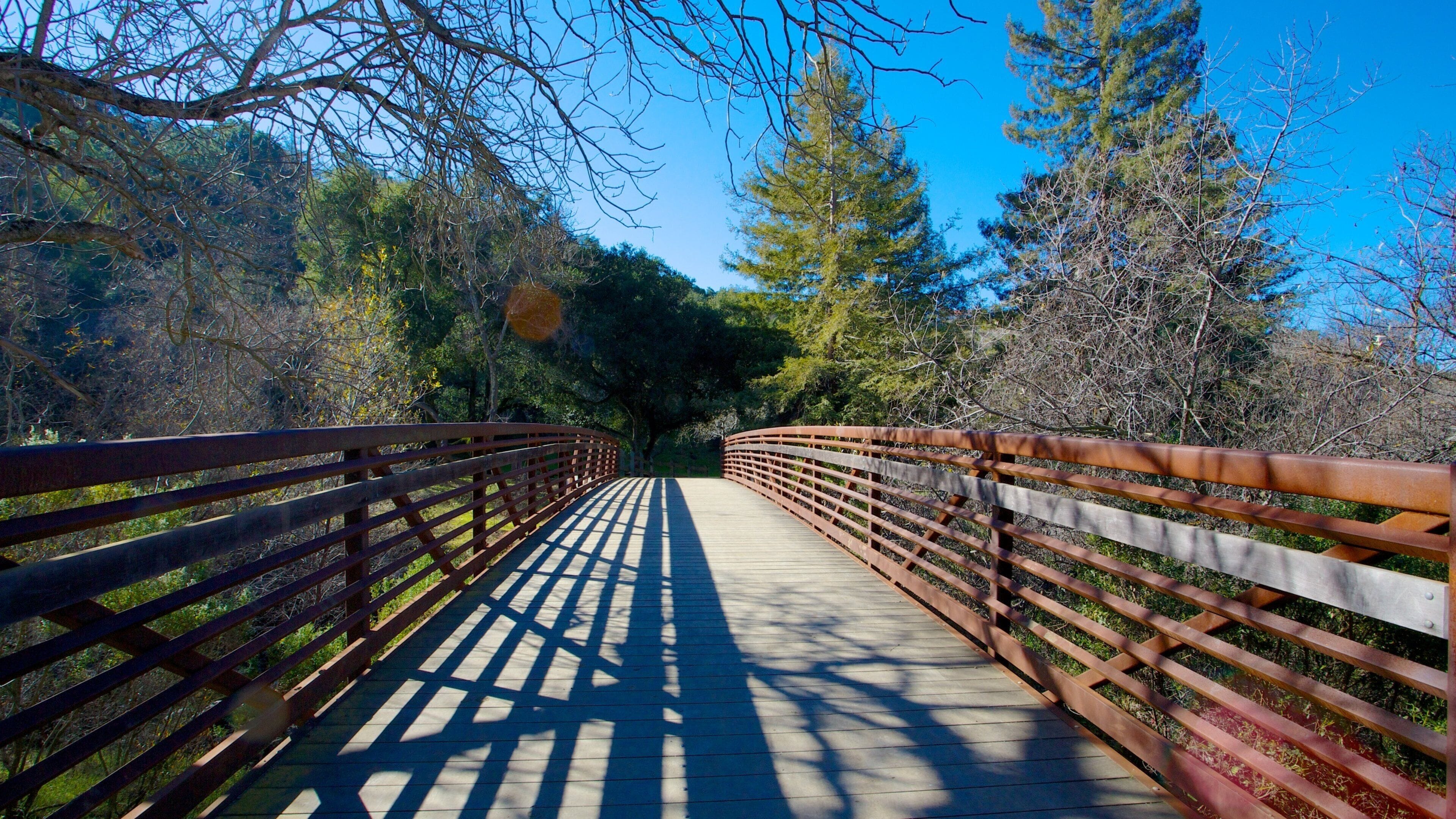Alum Rock Park showing a bridge, landscape views and a park