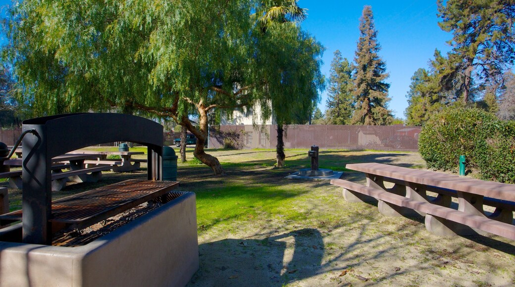 ケリー パーク 表示 自然の風景 と 公園