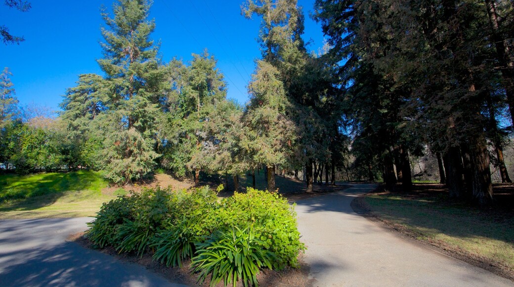 Parque Kelley mostrando un parque, escenas tranquilas y vista panorámica