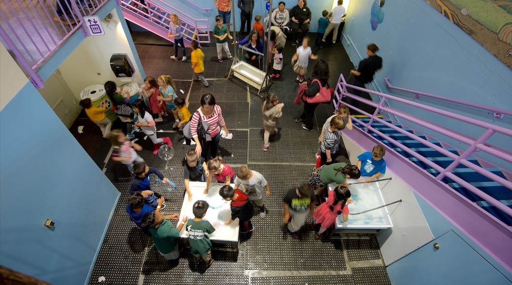 Children\'s Discovery Museum which includes interior views as well as children