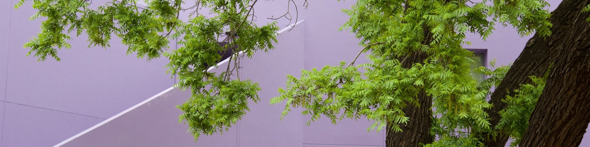 Children\'s Discovery Museum