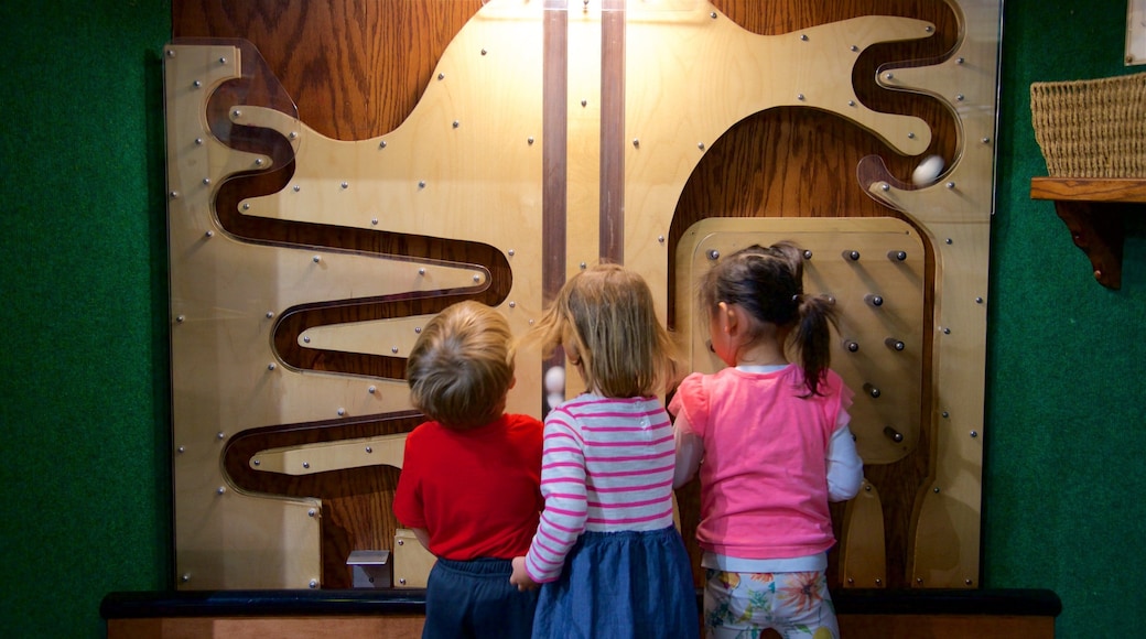 Children\'s Discovery Museum featuring interior views as well as children