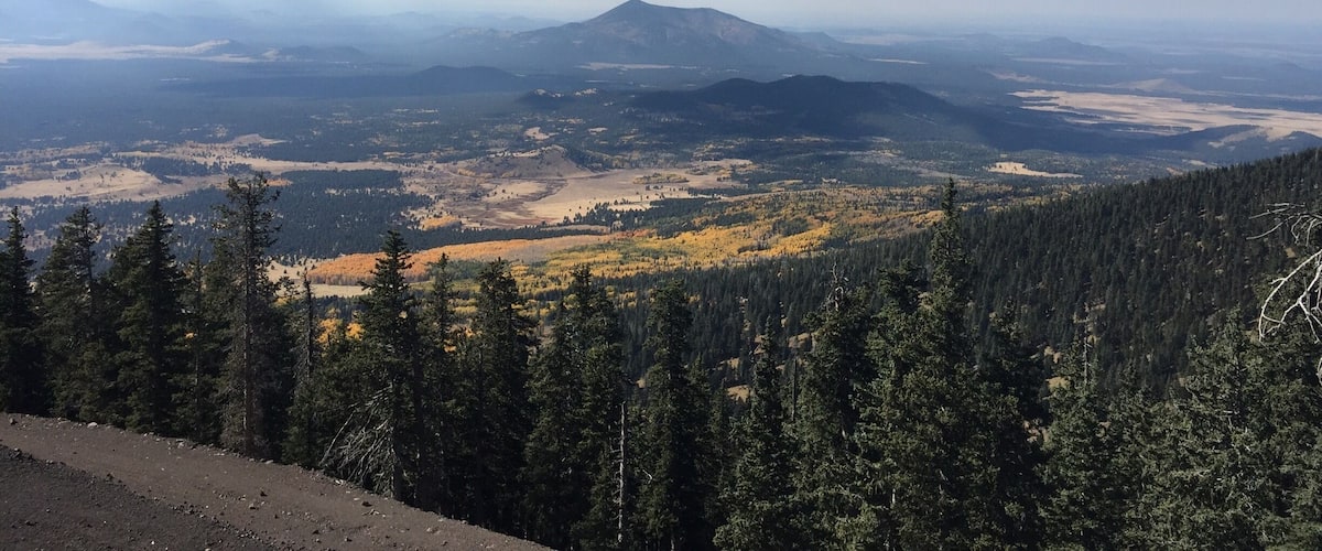 Absolutely breathtaking! I love the warmth of Phoenix and scenery that Flagstaff offers this time of the year. The best of both worlds, loving Arizona oh so much!