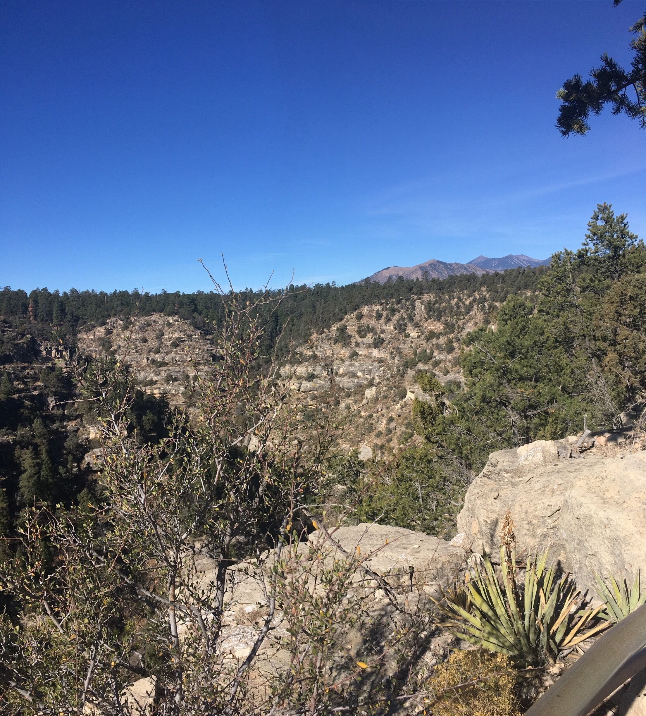Awesome hike, Morning sunrise is favorite of this spot. This place is north east of Flagstaff, Arizona. There are two trails of 4.5 miles. One inside hike walks through the living community place of Hopi Indian in those times, they had all means of livelihood, grain storage, community living in those times. They knew importance of migration, peace and harmony. Horizontal stripes on this canyon indicates different community houses. 