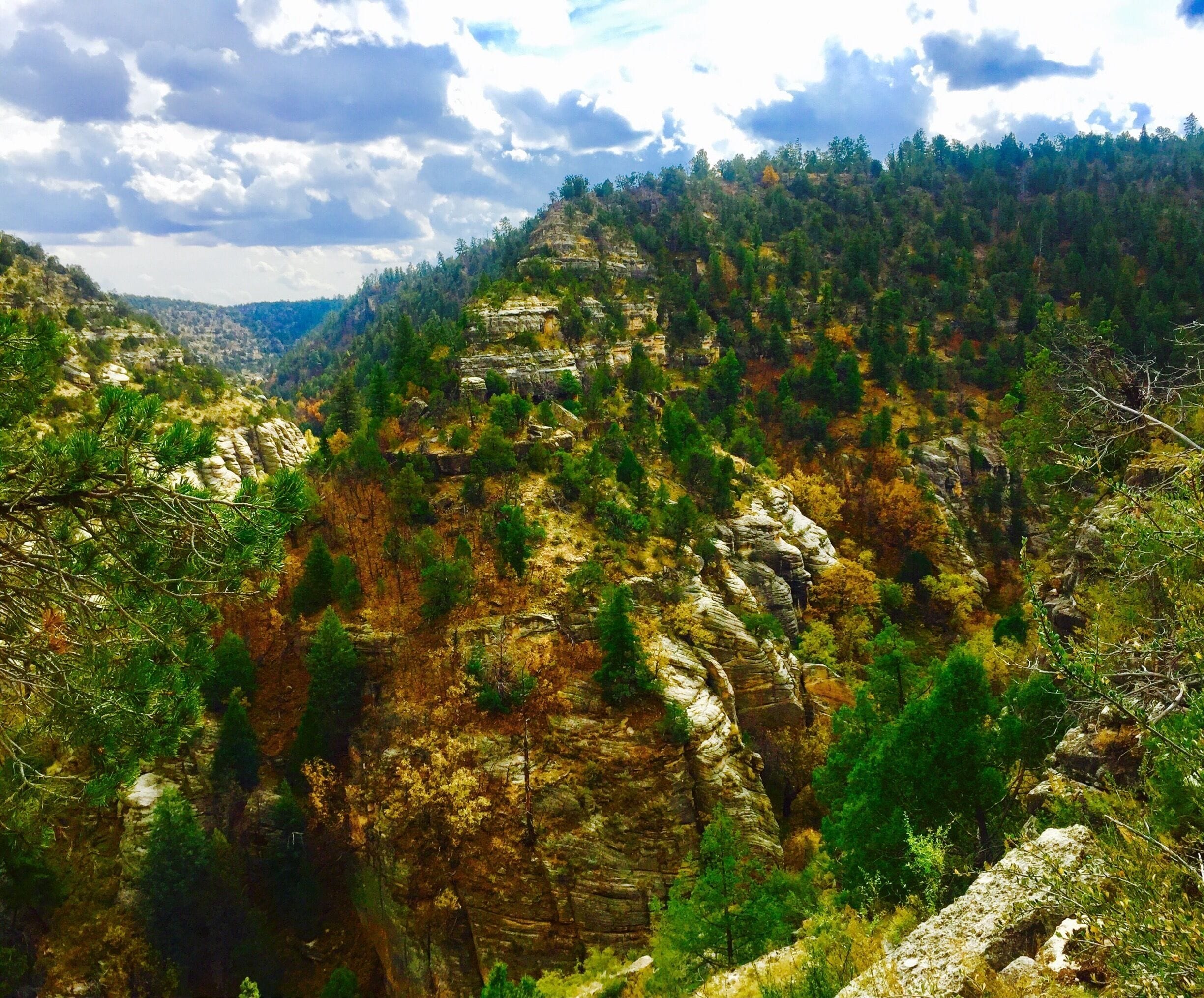 Walnut Canyon; home of the Hopi Indians who built rooms beneath the ledges of rock. Lowest depth measures approximately 400'. The landscape is beautifully decorated with various ground shrub and Ponderosa Pines.
