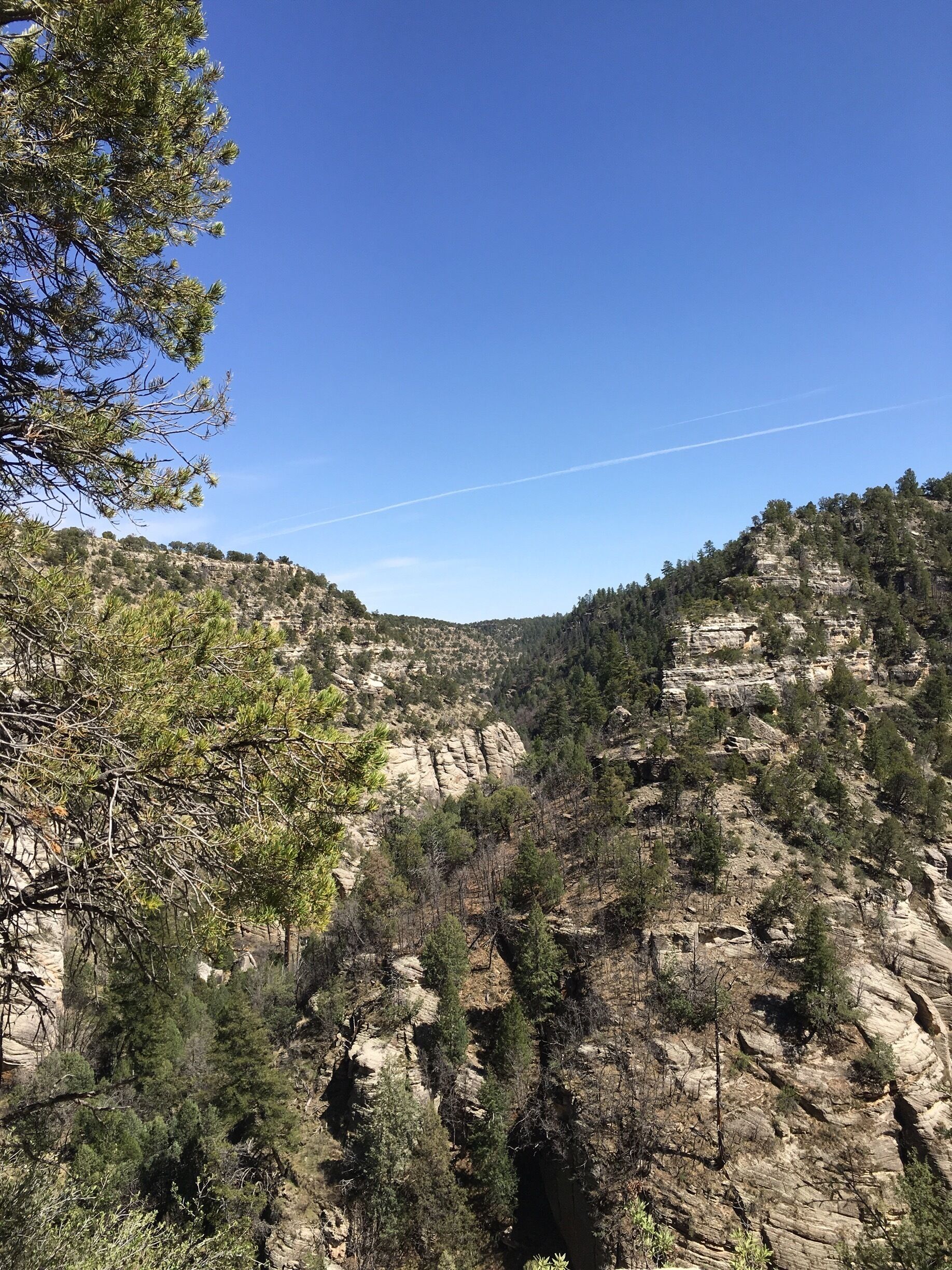 This was a fun little loop hike on the Island Trail. You get to see the ancient cliff dwellings up close and personal. The 240 steps at the end are an extra special treat. #Blue