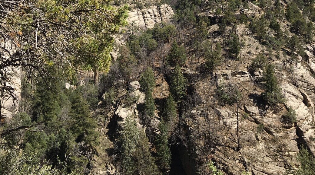 This was a fun little loop hike on the Island Trail. You get to see the ancient cliff dwellings up close and personal. The 240 steps at the end are an extra special treat. #Blue