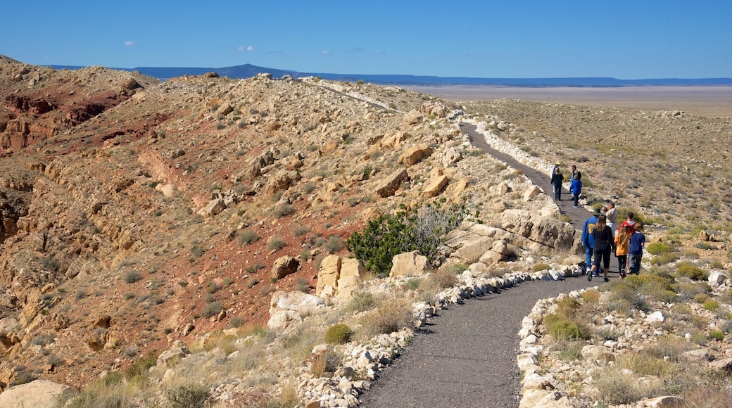 Meteor Crater featuring tranquil scenes and desert views as well as a small group of people