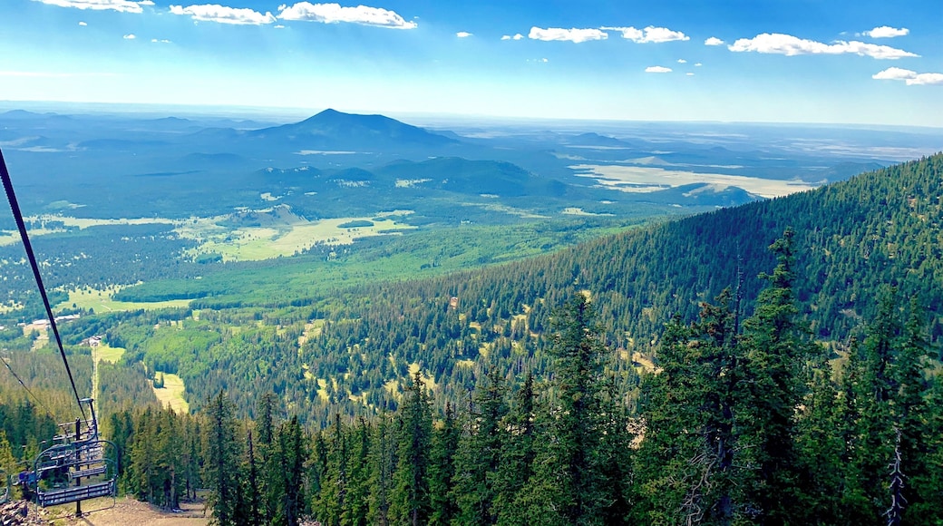Gorgeous views from 11,500ft. Skylift at Snowbowl will take you all the way to the top. 20 minute ride one way. Well worth the trip!