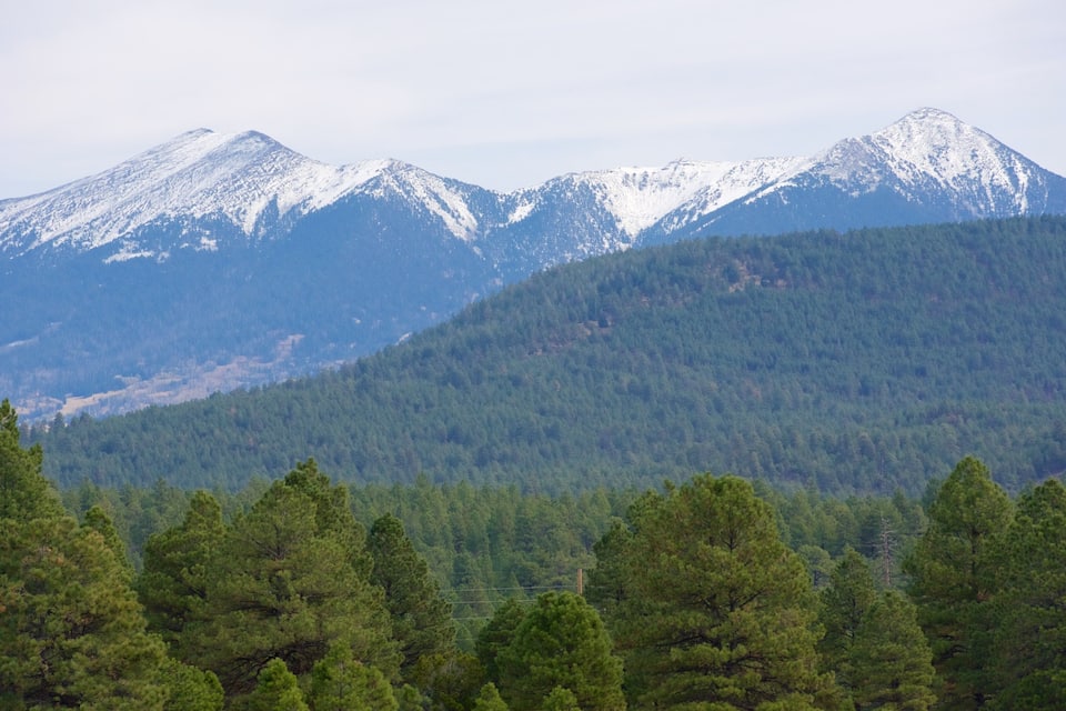 A mountain range with snow-capped peaks and dense forest in the foreground.