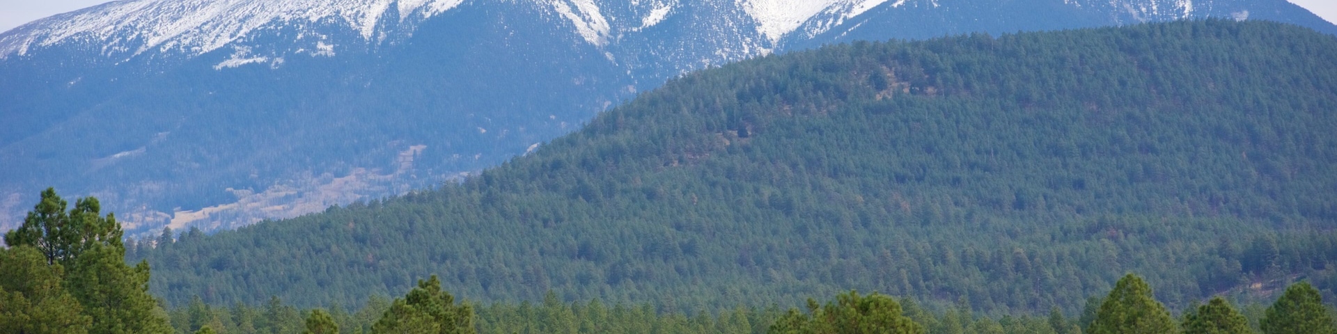 Humphreys Peak showing forests and mountains