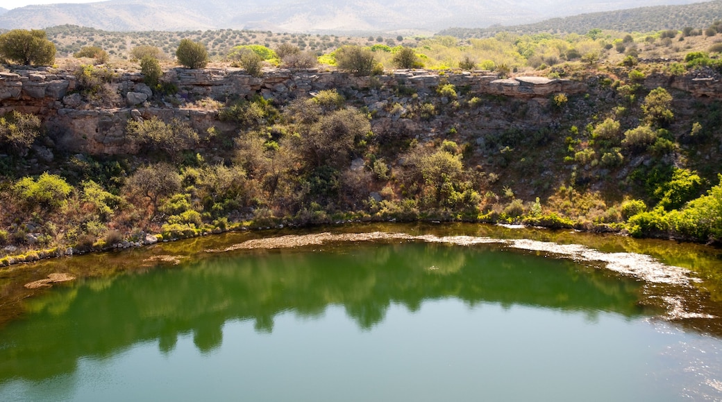 야바파이 포인트