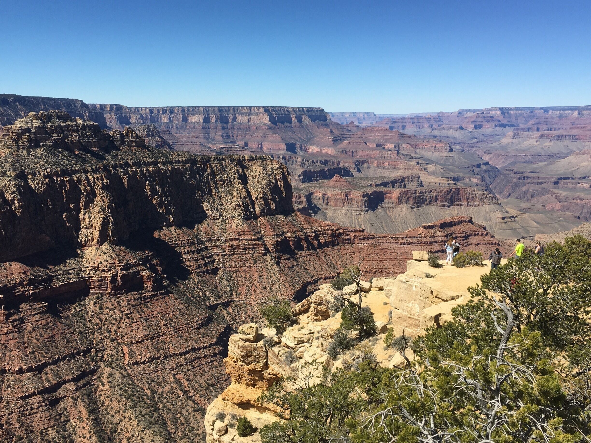 Another view from Moran pint Grand Canyon national park 