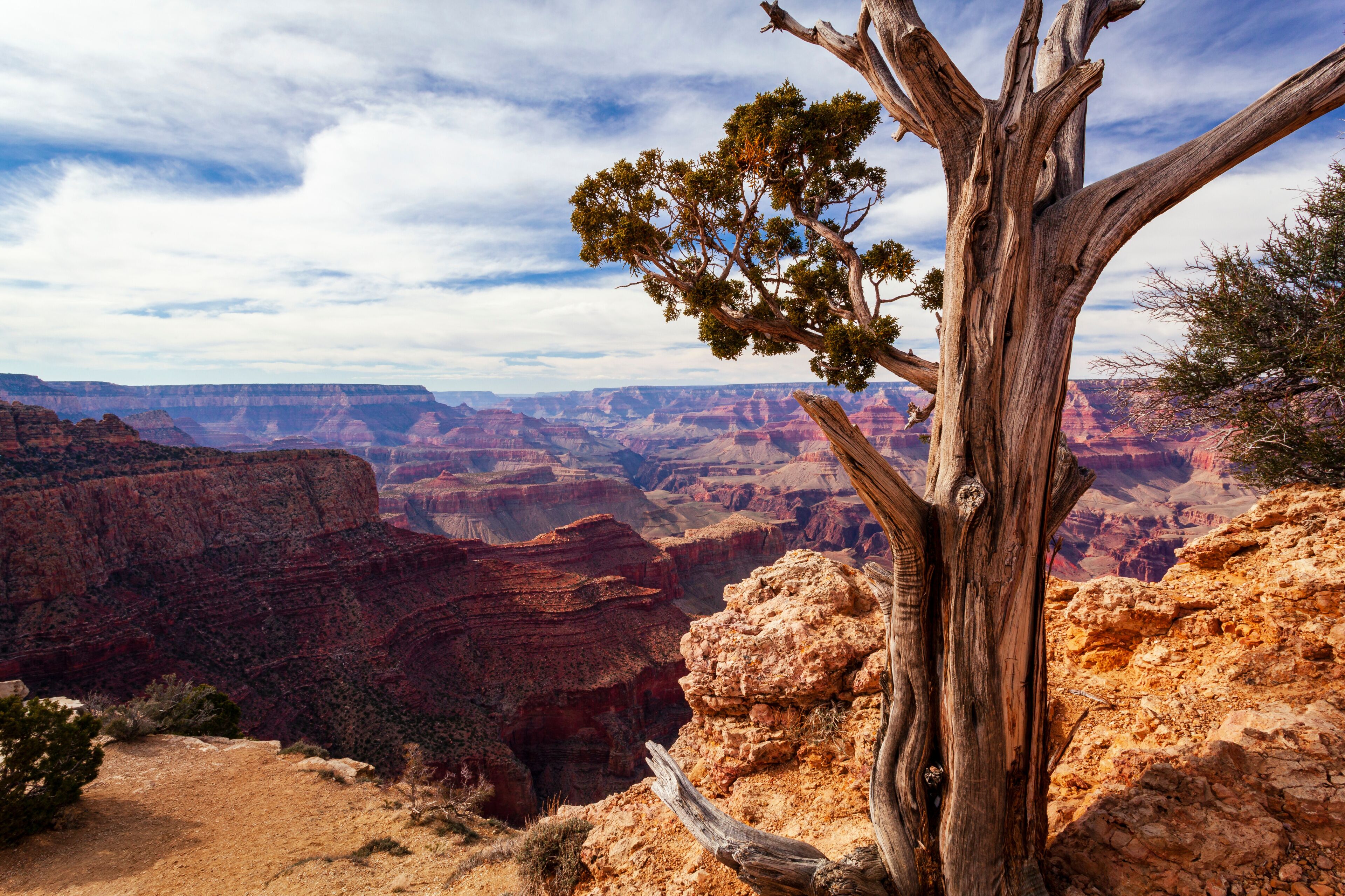 Moran Point at the Grand Canyon; Arizona, United States of America