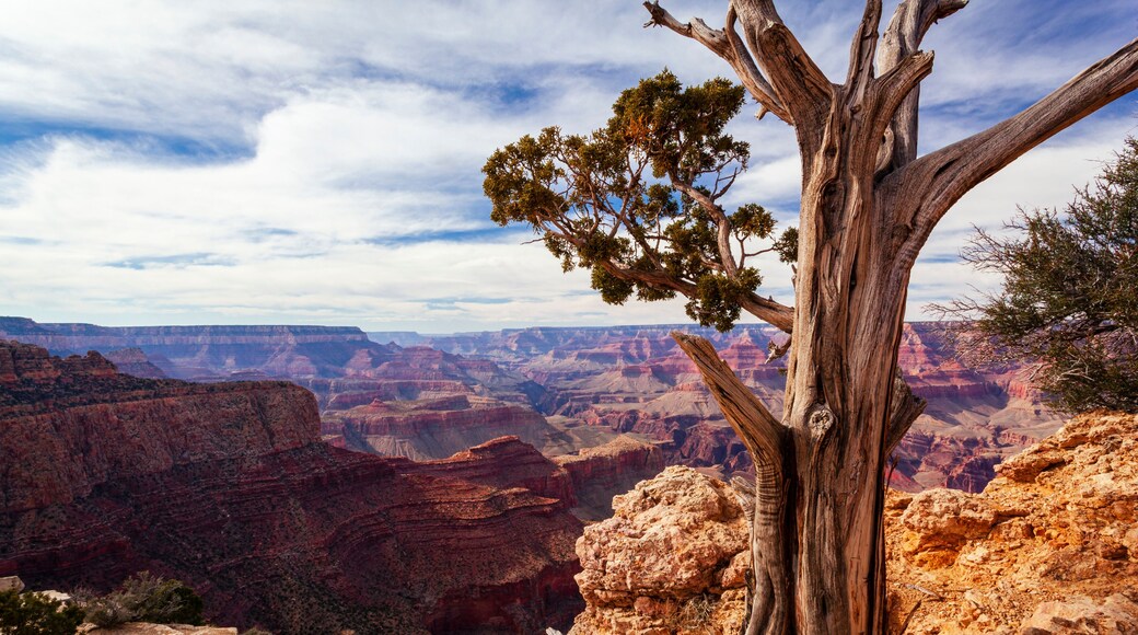Moran Point at the Grand Canyon; Arizona, United States of America
