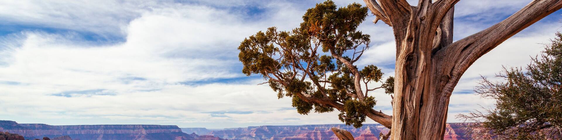 Moran Point at the Grand Canyon; Arizona, United States of America