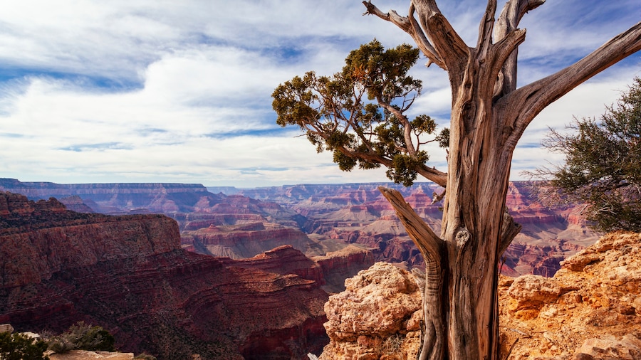 Moran Point at the Grand Canyon; Arizona, United States of America