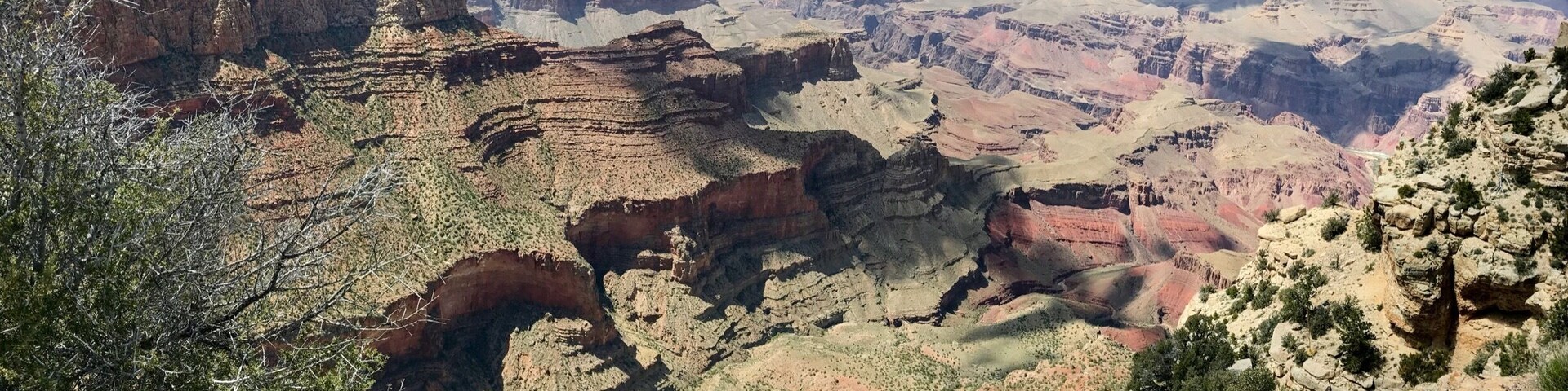 The grand canyon was definitely that - grand! Almost too much so... so big, so vast... almost looks the same in a lot of spots- but still breathtaking
