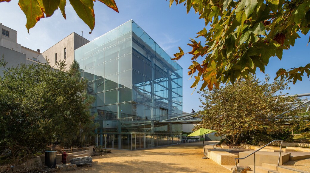 Natural History Museum of Los Angeles County