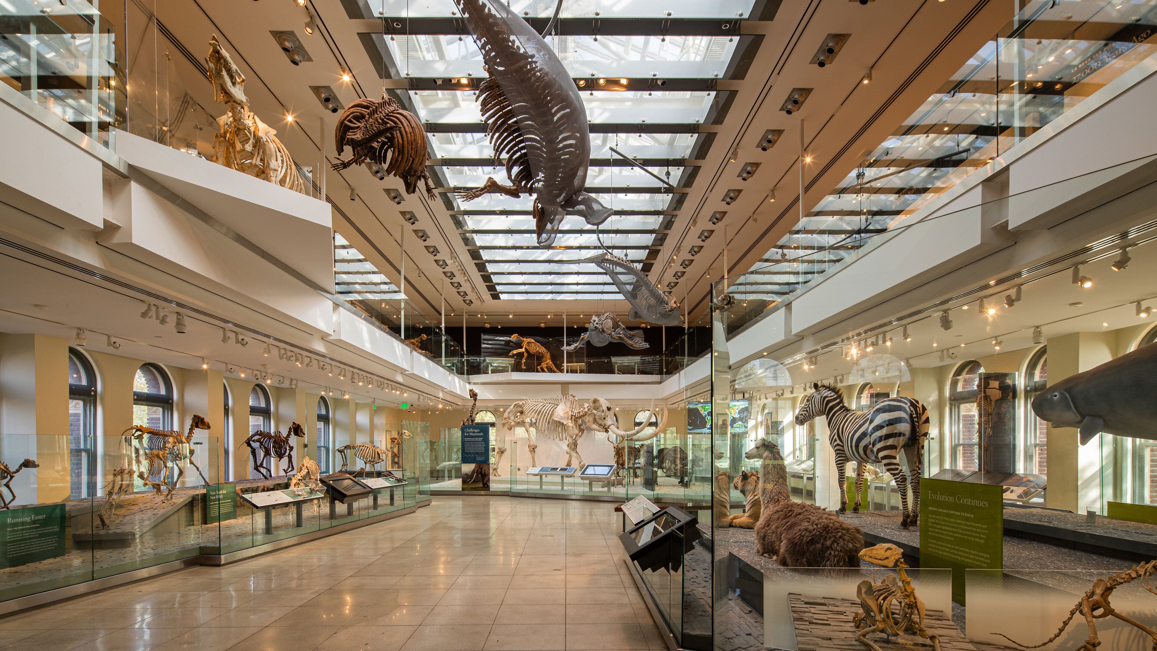 Natural History Museum of Los Angeles County