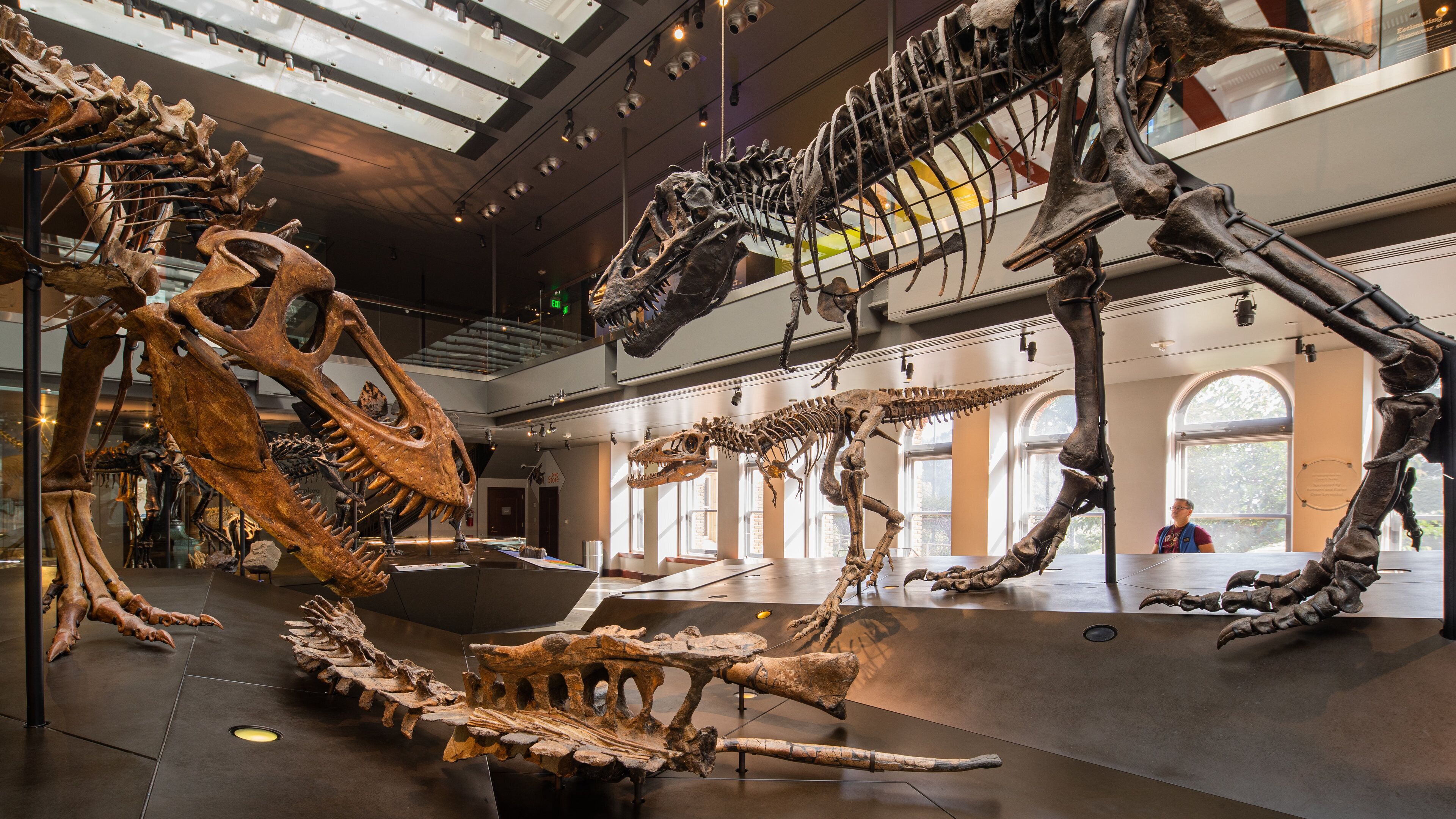 Natural History Museum of Los Angeles County which includes heritage elements and interior views