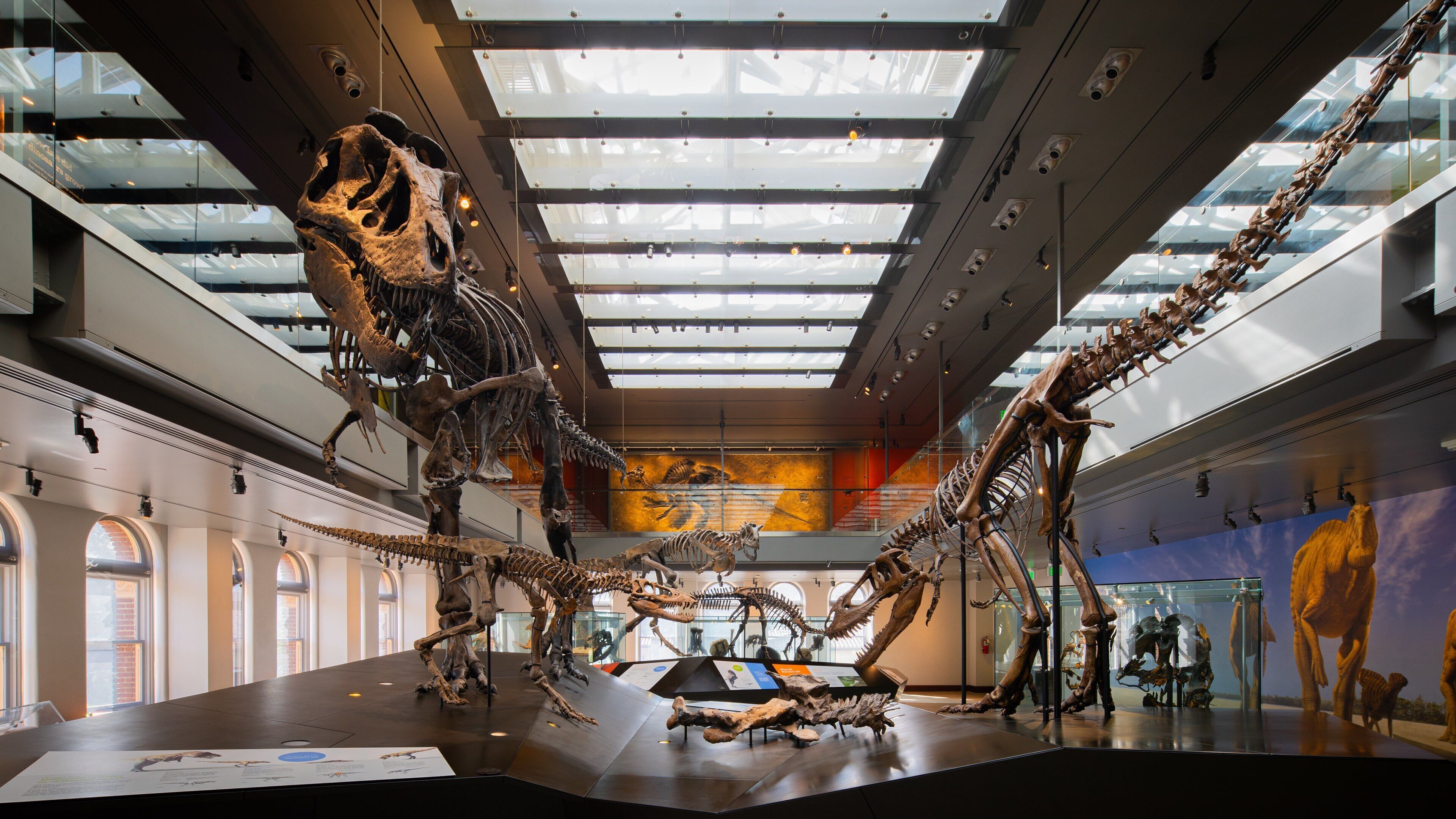 Natural History Museum of Los Angeles County