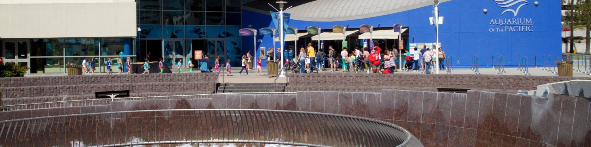 Visitors explore the Aquarium of the Pacific in Long Beach, California during a sunny day