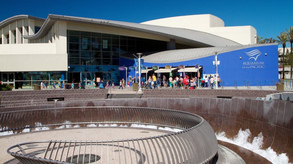 Visitors explore the Aquarium of the Pacific in Long Beach, California during a sunny day
