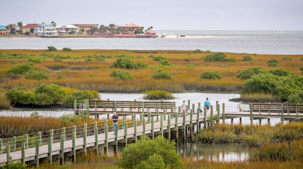 Ponce de Leon\'s Fountain of Youth Archaeological Park showing landscape views, a bridge and general coastal views