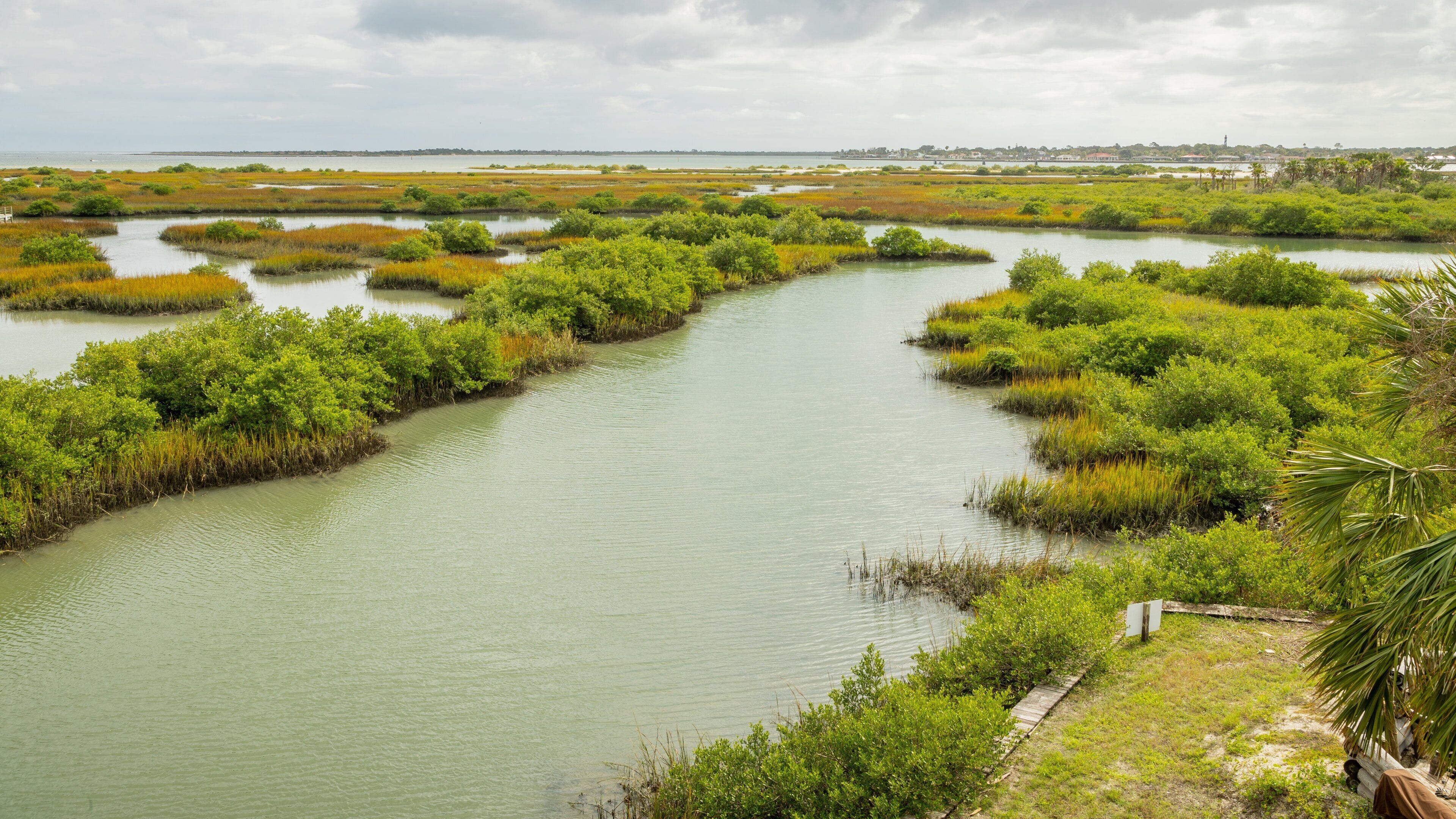 Ponce de Leon\'s Fountain of Youth Archaeological Park featuring wetlands, landscape views and a river or creek