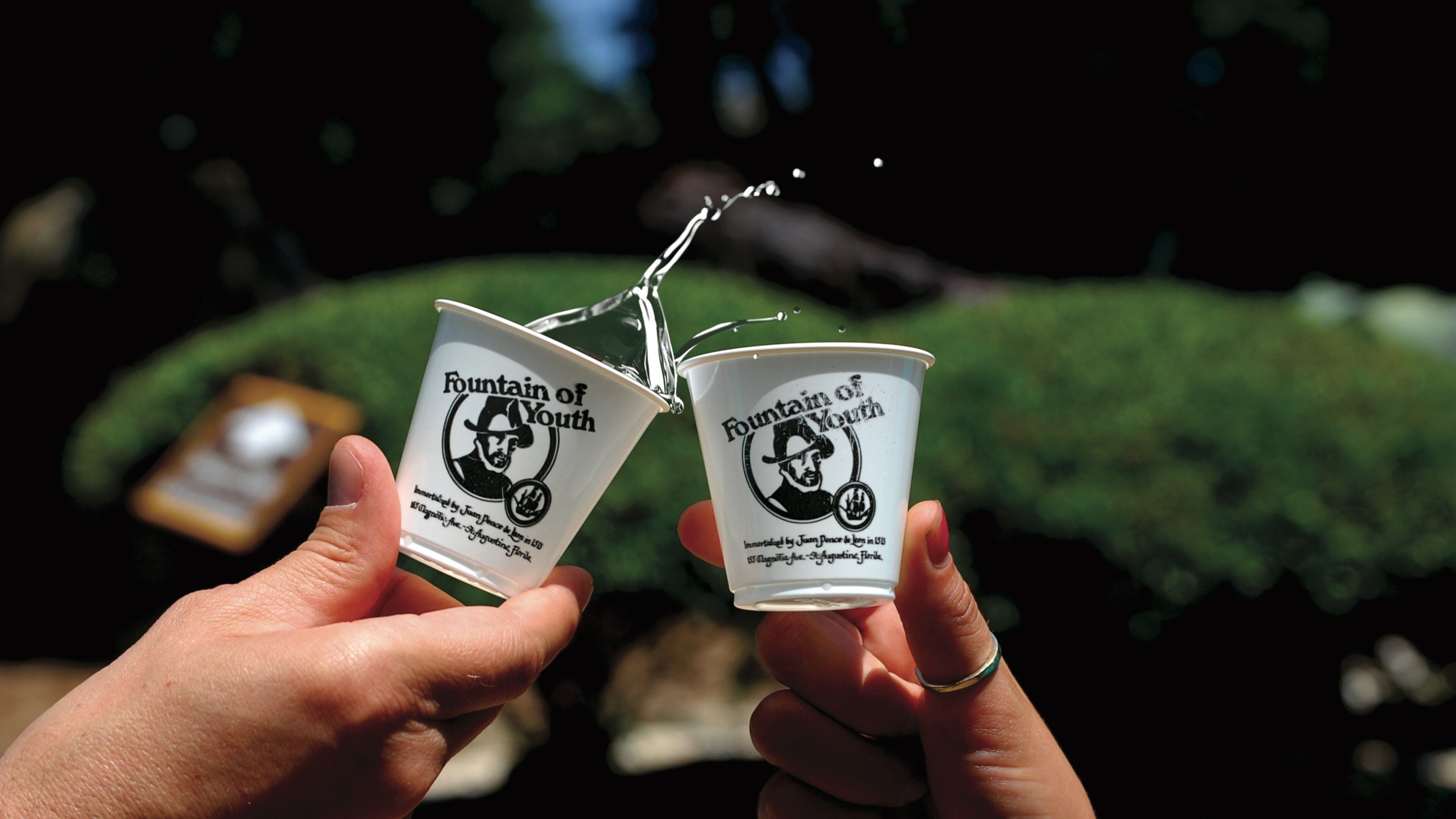 Fountain of Youth Archaeological Park which includes drinks or beverages