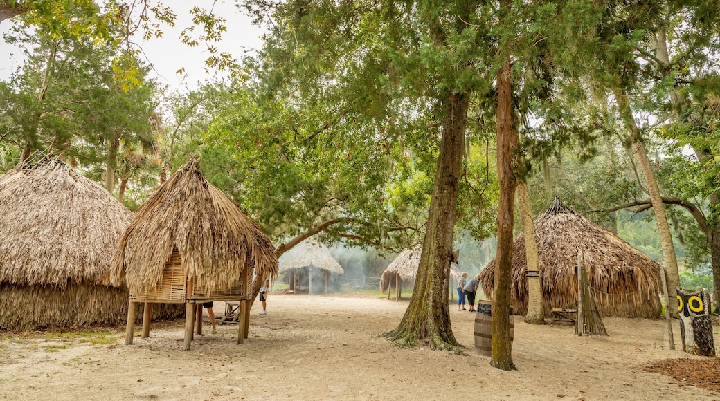 Ponce de Leon\'s Fountain of Youth Archaeological Park featuring a small town or village