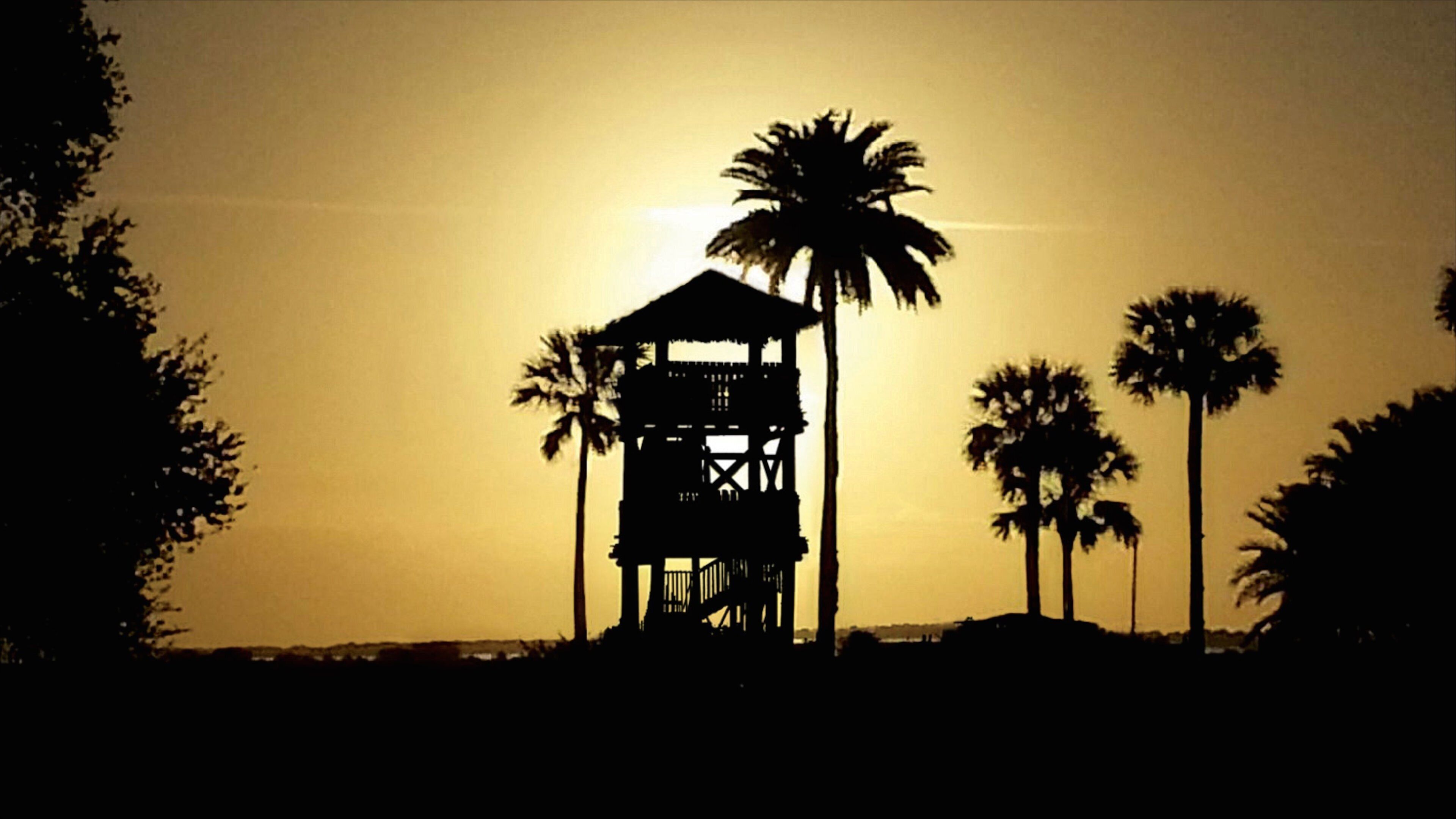 Fountain of Youth Archaeological Park che include paesaggio tropicale e tramonto