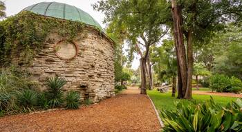 Ponce de Leon\'s Fountain of Youth Archaeological Park featuring a park
