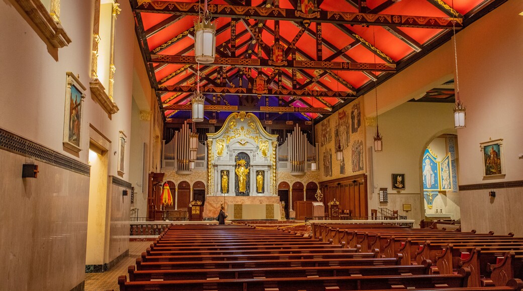 Cathedral Basilica of St. Augustine showing interior views and a church or cathedral