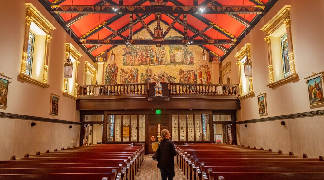 Cathedral Basilica of St. Augustine featuring interior views and a church or cathedral as well as an individual femail