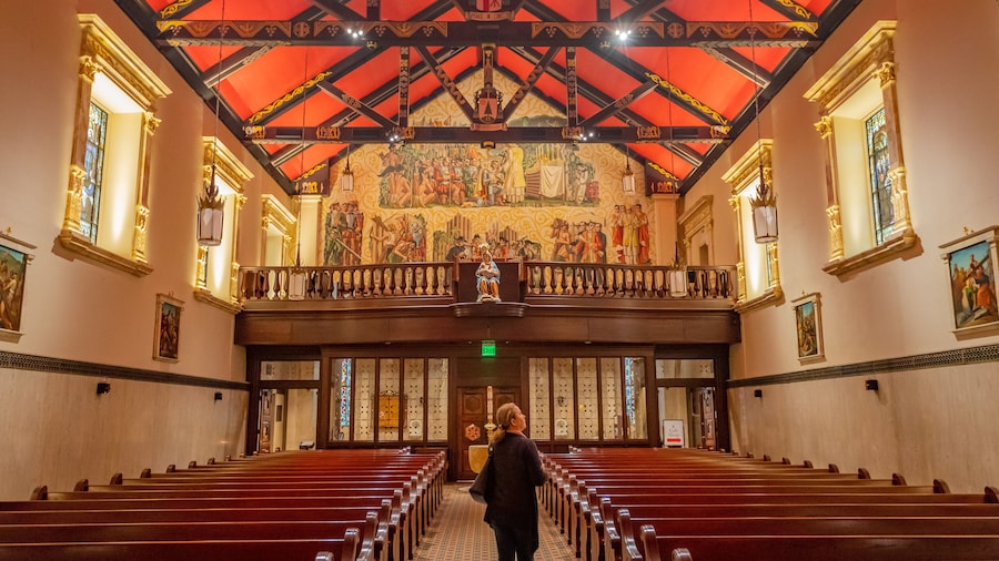 Cathedral Basilica of St. Augustine featuring interior views and a church or cathedral as well as an individual femail