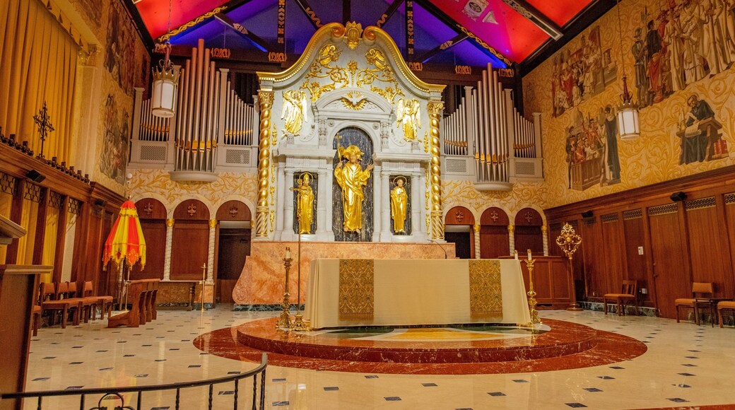 Cathedral Basilica of St. Augustine showing interior views, a church or cathedral and heritage elements