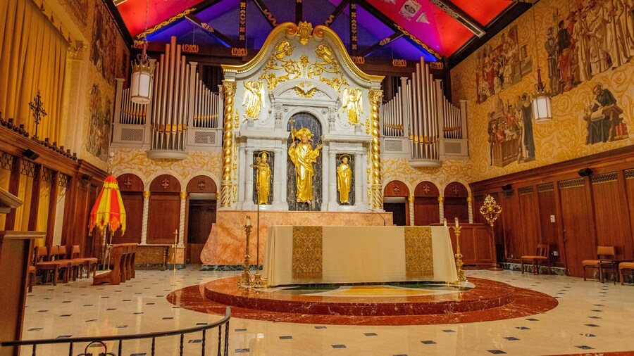 Cathedral Basilica of St. Augustine showing interior views, a church or cathedral and heritage elements