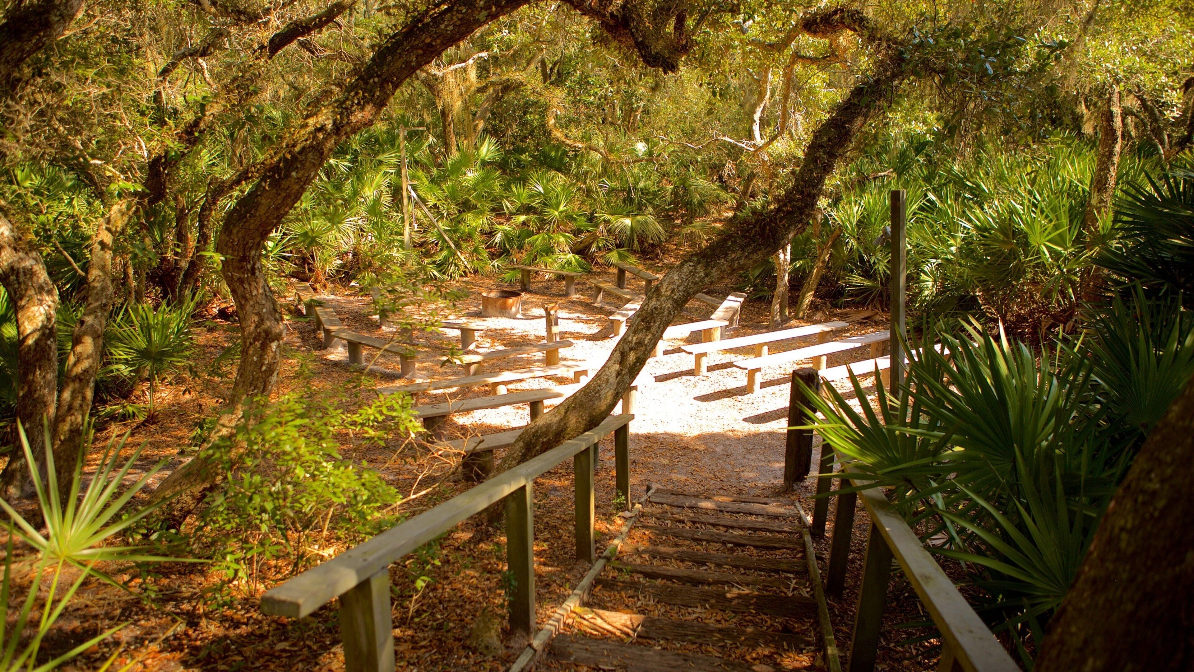 Un escalier en bois, entouré d’une végétation luxuriante et d’arbres.