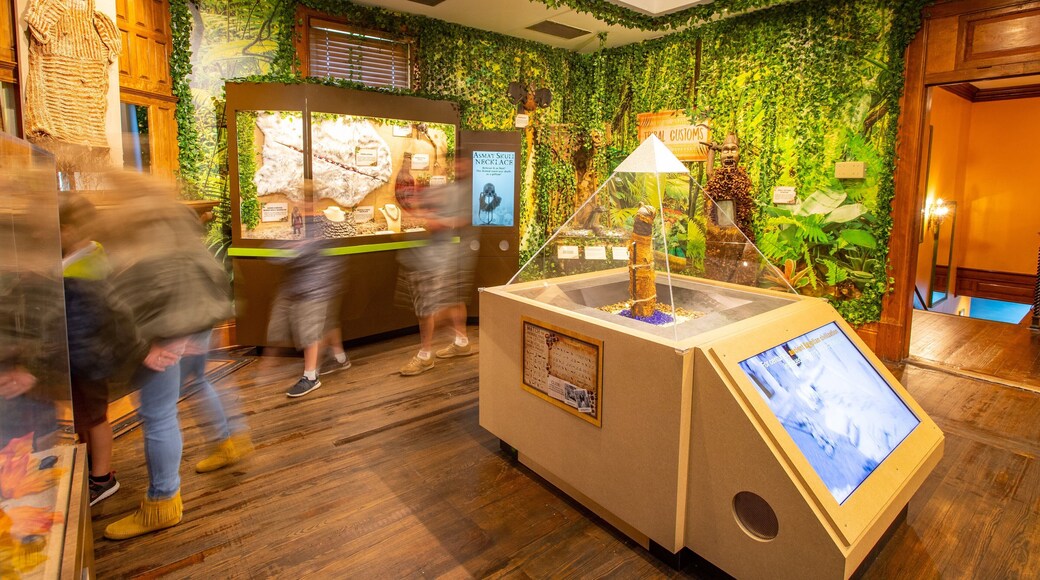 Ripley\'s Believe It Or Not