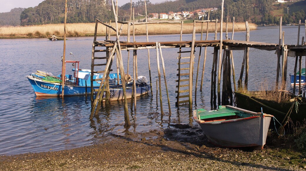Boats for elver fishing in Nalon Ria Soto del Barco Asturias Spain
